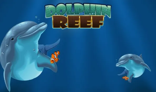 Dolphin Reef